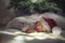 Newborn baby boy sleep under christmas tree on white lighting ground