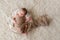 Newborn Baby Boy Sleeping in a Bowl