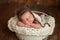 Newborn Baby Boy Wearing a Bear Bonnet