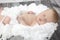 Newborn baby boy in white bowl against wooden background