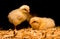 Newborn baby chickens under heat lamp
