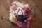 Newborn Baby Cowgirl Playing a Tiny Guitar