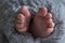 Newborn baby feet on blue cover