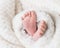 Newborn baby feet covered in plush lining blanket