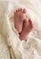 Newborn baby feet cuddled in antique lace