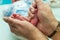 Newborn baby feet cupped into grandmothers hands