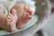 Newborn Baby Feet with Little Toes