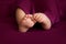 Newborn baby feet on stylish background, closeup of barefeet in a selective focus