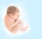 Newborn Baby Fetus, New Born Child Sleep in Embryo Pose, Unborn