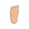Newborn baby foot sole, bottom view. Tiny plump foot with cute heel and toes. Realistic caucasian skin colours. Vector