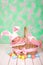 Newborn baby girl in a rabbit costume has sweet dreams on the wicker basket. Easter Holiday