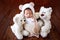Newborn baby girl two weeks sweetly sleeping among soft toys bears in a hat with ears on a wooden background