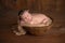 Newborn Baby Girl Wearing a Natural Twig Crown