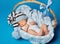 Newborn Baby Inside Basket, New Born Kid Dream in Woolen Hat