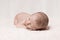 Newborn Baby Male Sleeping Peacefully