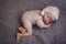 Newborn baby mannequin close up for practicing in newborn photography