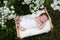 Newborn baby outside in the grass
