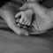 Newborn baby, photography baby and parents hand`s