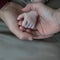Newborn baby, photography baby and parents hand`s