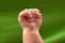 Newborn baby`s hand clenched into a fist