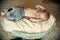 Newborn baby sleep in crib on floor