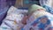 Newborn baby sleeps on belly in a special incubator for premature babies.intensive care unit for children.4k. 4k video