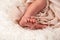 Newborn baby on a white blanket. tiny baby feet closeup. concept of happiness. place under the text