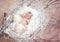 Newborn baby with white feather in nest. Portrait of adorable ne
