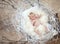 Newborn baby with white feather in nest. Portrait of adorable ne