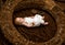 Newborn baby in wicker crib. Newborn baby girl or boy. Primary health care includes family doctor. Trusted care. Trusted