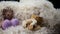 Newborn baby wool clothes shoes toy bear