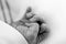 Newborn Babys Hand