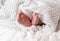 Newborn babyâ€™s legs, toes on the white knitted blanket. Newborn child. Place for a text