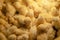 A newborn chicken is knocked out of an egg,brood of small chicks. Close up.Hatching Chick in a farm, Keeping chicks warm by