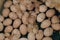 Newborn chicks lying on chicken eggs in incubator