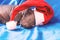 Newborn dog Mexican xoloitzcuintle puppies, one week old, sleeping on a blue headband in a Christmas hat. A place for writing lett