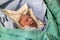 Newborn, eyes closed, crying baby in green blanket in hospital