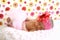 Newborn girl sleeping