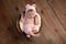 Newborn Girl Wearing a Pink Bear Hat