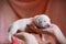 Newborn golden retriever puppy. Tender photo of a dog. Pet at home.