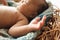 Newborn kid lying in nest, focus on hand