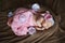 Newborn little girl who sleeps soap, soft pink scarf covered with lace satin flower, gently folded under the handle small head