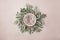 Newborn neutral background - cream bowl with eucalyprus leaves wreath on light beige background