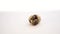 Newborn quail egg on white background. Chick hatching out its egg. The birth of a new little life