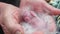 A newborn rabbit in the hands of a farmer. Breeding rabbits.