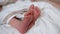 A newborn`s baby feet