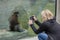 Newborn South American sea lion Otaria flavescens