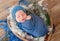 Newborn studio portrait