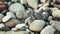 Newborn turtle crawl on large stones to sea. baby turtle walking towards ocean