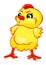 Newborn yellow chick. Cartoon character